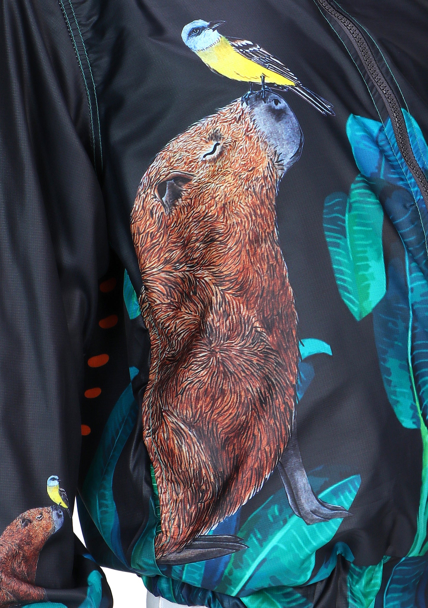 Graphite gray eco-conscious jacket featuring our Capybara friend with a yellow bird on the tip of its nose. Jacket has seven images of the Capybara surrounded by green leaves. The largest Capybara is on the back of the jacket.  Edit alt text